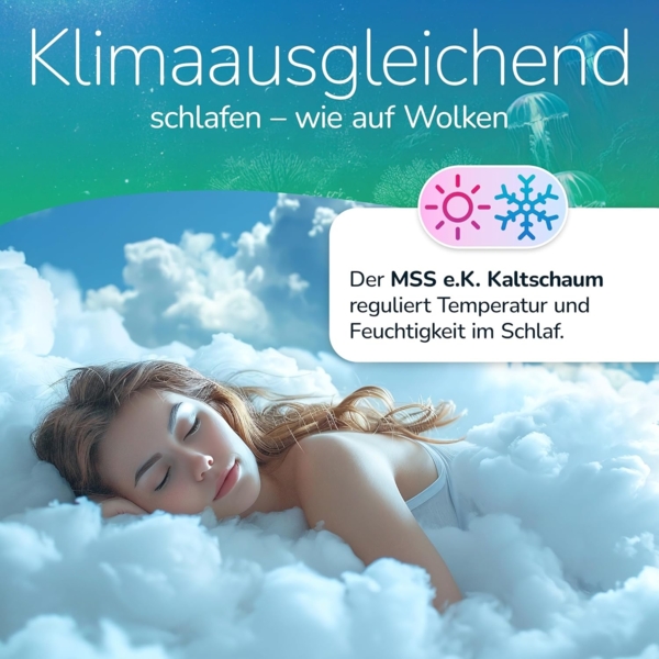 MSS e. K. Aqua Deluxe - 7 Zonen Wellness Kaltschaummatratze - 200 x 200 x 16 cm (Kernhöhe 14 cm) - Härtegrad H4 & H5 - Matratze Wendematratze Kaltschaum Oeko-TEX Bild 5