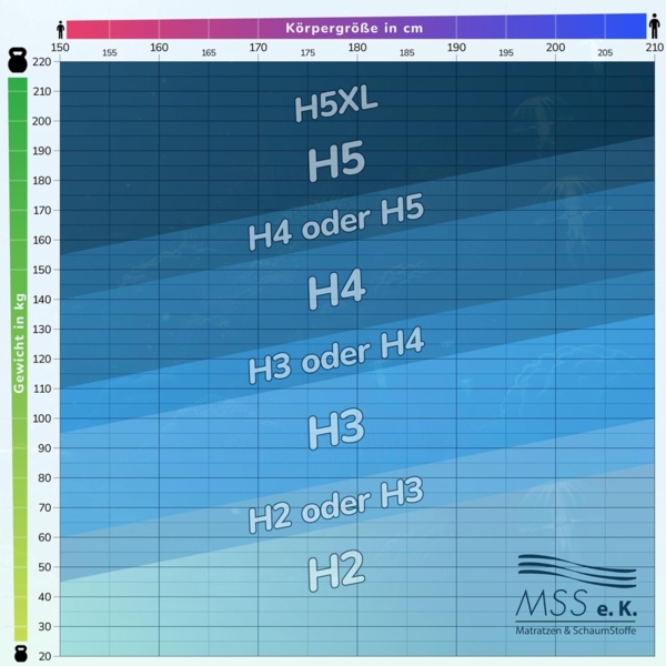 MSS e. K. Aqua Deluxe - 7 Zonen Wellness Kaltschaummatratze - 200 x 200 x 16 cm (Kernhöhe 14 cm) - Härtegrad H4 & H5 - Matratze Wendematratze Kaltschaum Oeko-TEX Bild 4