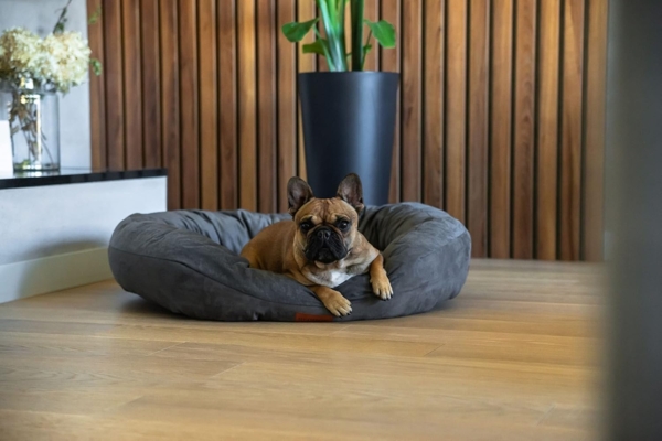 BedDog PRINS PREMIUM Hundebett, aus strapazierfähigem Alicante-Gewebe, Hundesofa mit Seiten, ovales Kissen für Ihr Haustier, Hundecouch L, THE-ROCK (schwarz/grau) Bild 6