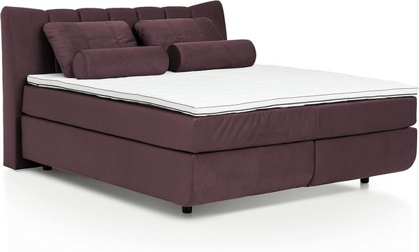 Mivano Free Boxspringbett mit Durchgehender Matratze (H4) und Premium Topper, Velours Cosy Lila, Liegefläche 140x200 cm