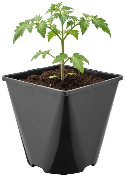 Garronda Blumentopf Kunststoff eckig abgerundet mit Drainagelöchern für Garten GD-0200 (1 St)