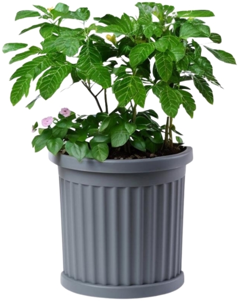 GarPet Pflanzkübel Pflanzkübel mit Unterssetzer Halbrund Pflanz Gefäß Blumen Groß Topf