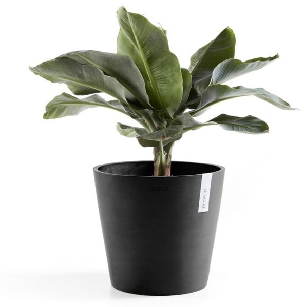 Ecopots Pflanztopf Amsterdam Ø 40 x 35 cm dunkelgrau Bild 3