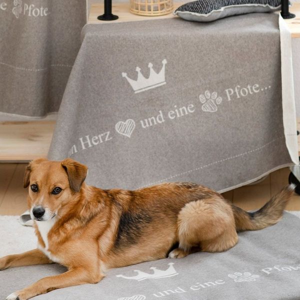 DAVID FUSSENEGGER Tierdecke Hundedecke 'ein Herz und eine Pfote'