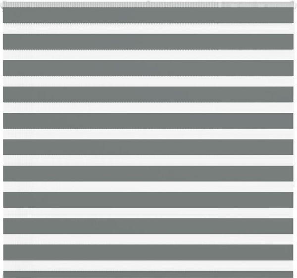 vidaXL Doppelrollo Dunkelgrau 165x150 cm Stoffbreite 160,9 cm Polyester 4014144