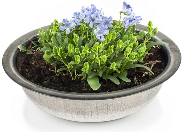 matches21 HOME & HOBBY Blumentopf Zinkwanne Zink-Schale als runde Pflanzschale Deko-Schale 35 x 8,5 cm (1 St), Metall-Schale als Garten Pflanzkübel Blumenschale für draußen