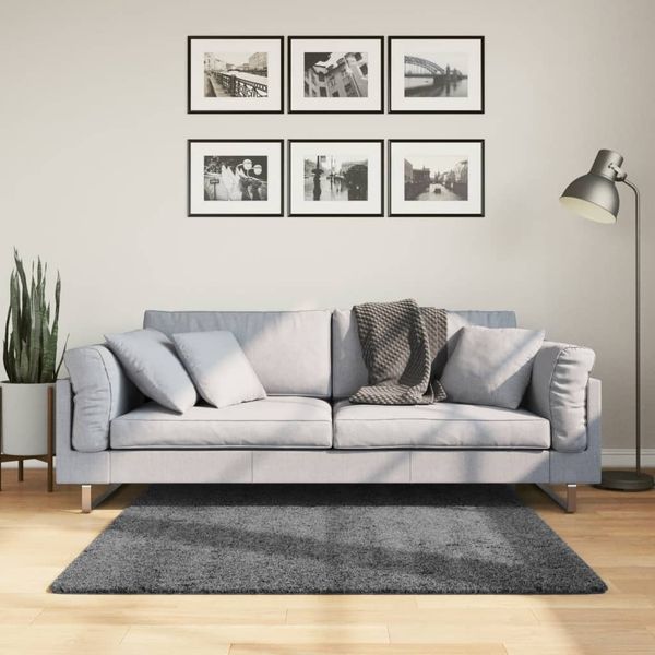 vidaXL Teppich OVIEDO Kurzflor Anthrazit 120x120 cm 375467