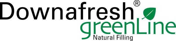 Aro Artländer Daunenbettdecke 15% Dauen, 85% Feder, 80x80 cm Bild 3