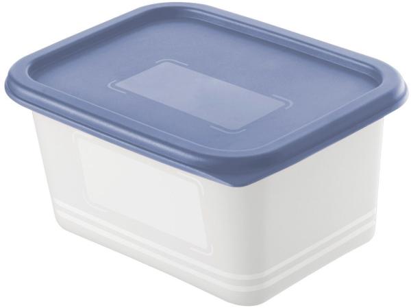 Rotho Gefrierdosen-Set Domino 4 x 0,75 L blau Frischhaltedose Kühlschrankdose Vorratsdose