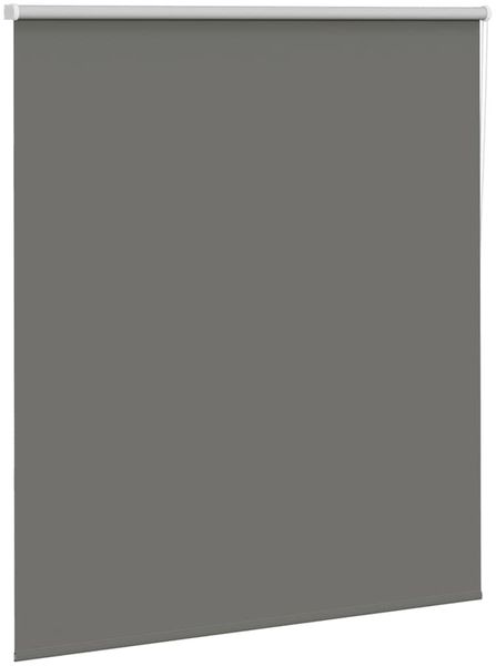 vidaXL Verdunkelungsrollo Grau 120x130cm Stoffbreite 116,6cm Polyester 4011106 Bild 3