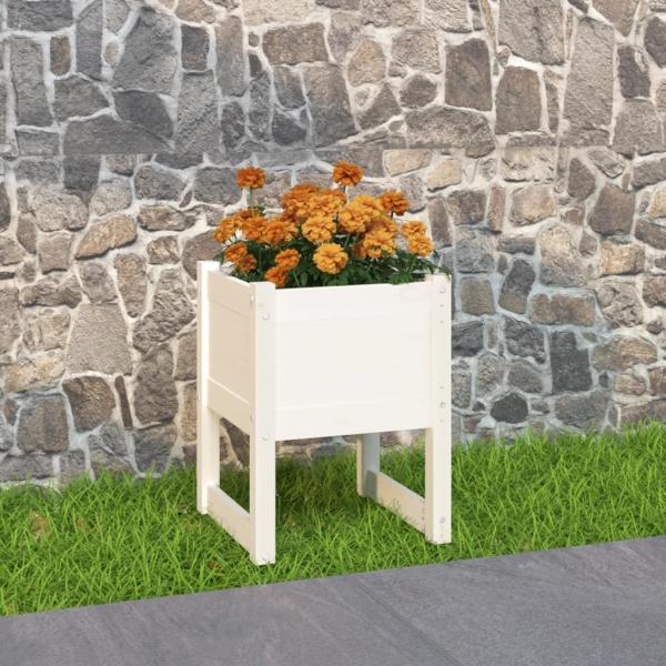 vidaXL Pflanzkübel Weiß 40x40x52,5 cm Massivholz Kiefer 822109