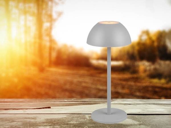 Reality Leuchten 'Ricardo' LED Akku-Tischleuchte, Kunststoff grau, 30 cm