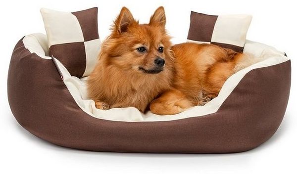 lionto Tierkissen, Wendekörbchen 4-in-1 Heimtierbett, 65x50 cm, braun/beige, Textil wasserabweisend, mit Wendekissen, kratzfest & pflegeleicht