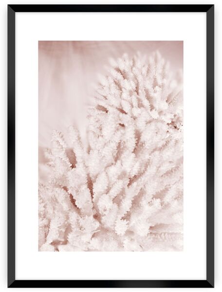 Dekoria Poster Pastel Pink II