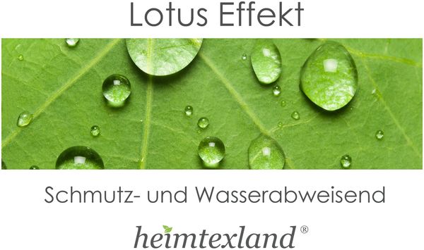 heimtexland Â® Outdoorkissen Lotus Effekt 45x45 Garten Dekokissen Wasserabweisend Outdoor Lounge Deko Kissen Typ742 Eukalyptus Bild 4