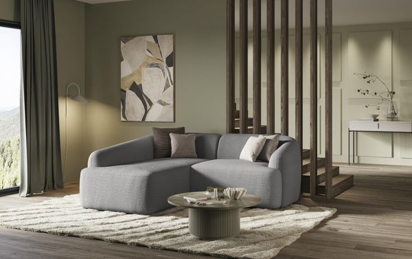 DOMO. collection Ecksofa Parika, L Couch, organische Form, Longchair Links, klein, 216 x 196 x 81 cm (BxTxH), Graphite