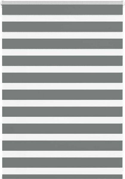 vidaXL Doppelrollo Dunkelgrau 115x100 cm Stoffbreite 110,9 cm Polyester 4014108