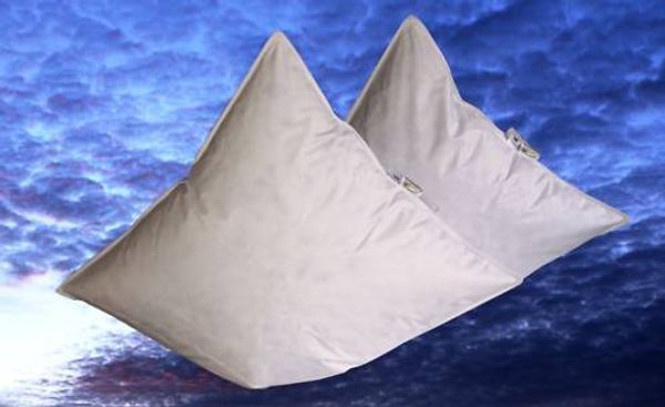 2 Stück Betten Hofmann Pusta Federkissen Kopfkissen Kissen 80x80 15% Daunen 1000 g