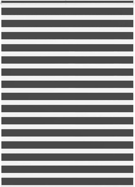 vidaXL Doppelrollo Schwarz 155x200 cm Stoffbreite 150,9 cm Polyester 4014272