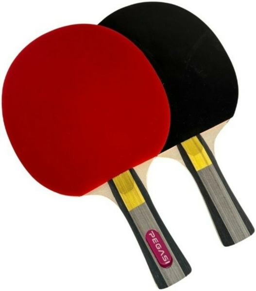Pegasi Tischtennisschläger 4 Sterne Advanced Bild 1