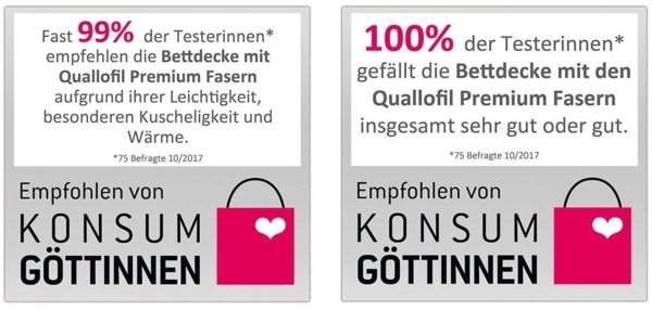 f.a.n. Frankenstolz First Class Steppbett 155x220 Steppbett Bild 4