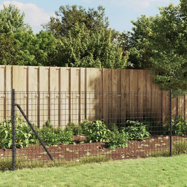 vidaXL Maschendrahtzaun Anthrazit 1x25 m Verzinkter Stahl 154201