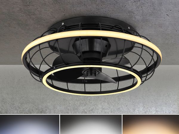 LED Deckenventilator, Fernbedienung, dimmbar, CCT, D 50 cm