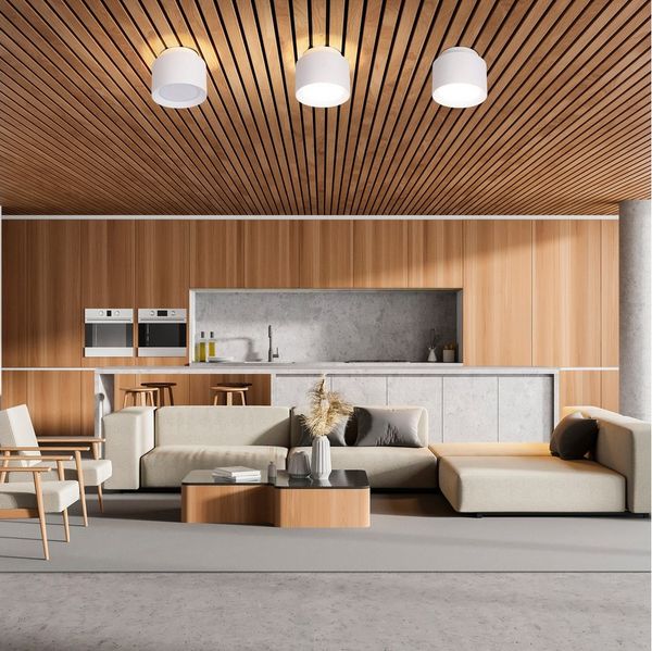 näve LED Deckenleuchte Trimes, Dimmfunktion, Memoryfunktion, Nachtlichtfunktion, LED wechselbar, warmweiß - kaltweiß, rund, dimmbar, CCT per Schiebeschalter, Nachtlicht, Backlight, Memory