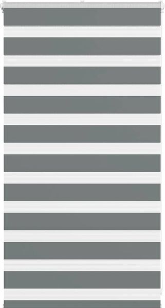 Doppelrollo Duo-Rollo Dunkelgrau 90x100 cm Stoffbreite 85,9 cm Polyester