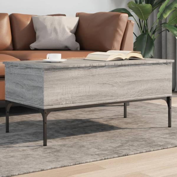 vidaXL Couchtisch Grau Sonoma 100x50x45 cm Holzwerkstoff und Metall 845414