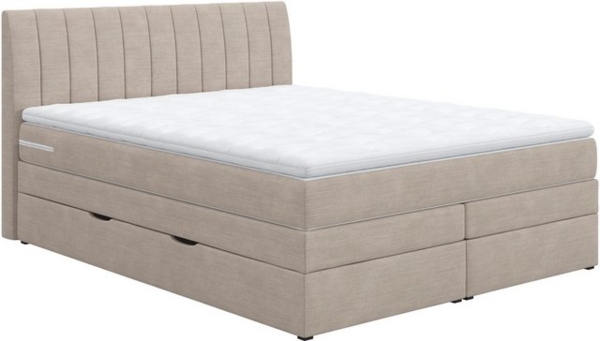 COTTA Boxspringbett Shark inkl. Bettkasten und Topper, erhältlich in den Breiten 140x200cm, 160x200cm und 180x200cm Bild 4