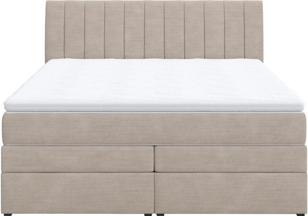 COTTA Boxspringbett Shark inkl. Bettkasten und Topper, erhältlich in den Breiten 140x200cm, 160x200cm und 180x200cm Bild 2
