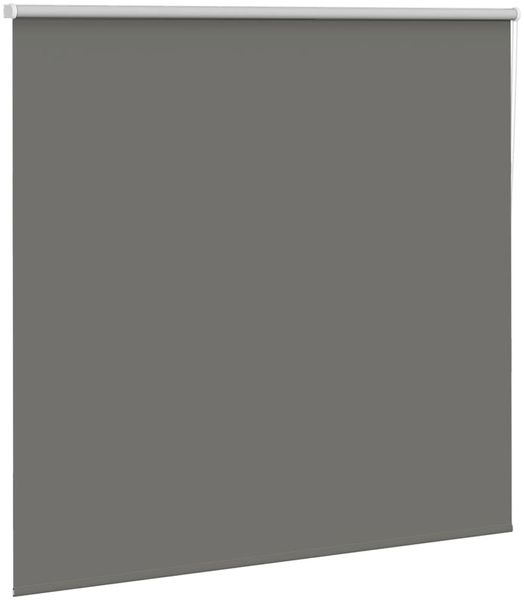 vidaXL Verdunkelungsrollo Grau 165x150cm Stoffbreite 161,6cm Polyester 4011141 Bild 3