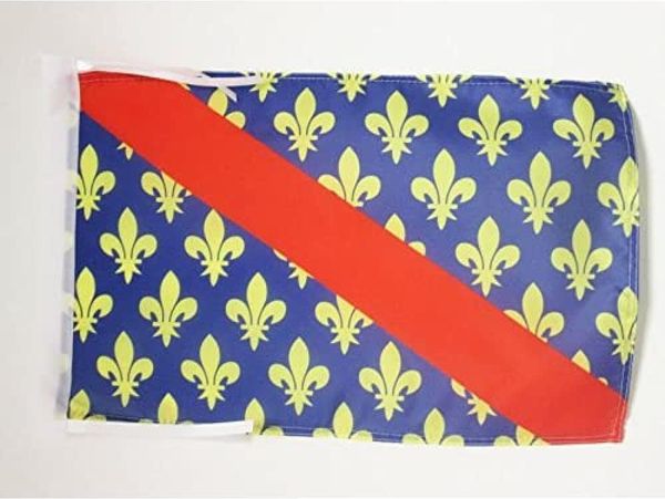 AZ FLAG - Flagge Département Allier - 45x30 cm Mit Kordel - Allier Fahne 30x45 Cm - Flaggen