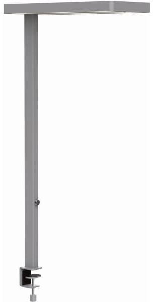 MAUL LED-Tischleuchte MAULjuvis, silber, mit Klemmfuß