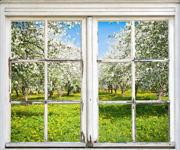 queence Wandsticker Wiese mit Bäumen, Wandsticker, Wandbild, selbstklebend, 3D, Fenster