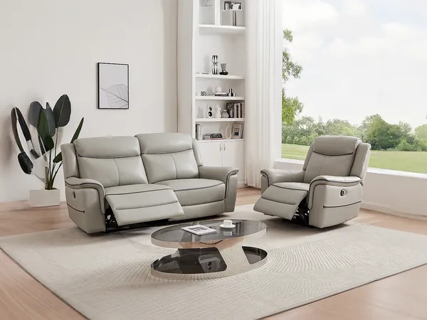 Vente-unique - ADELIO Sofa and armchair set Leder Grau - B 95 cm x H 102 cm x L 105 cm210 cm