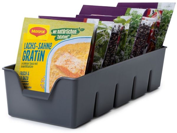 KONZEPT Gewürzregal Gewürz Organizer für Schrank, Gewürzbehälter aus Plastik, 2-tlg, Gewürzorganiser Küche