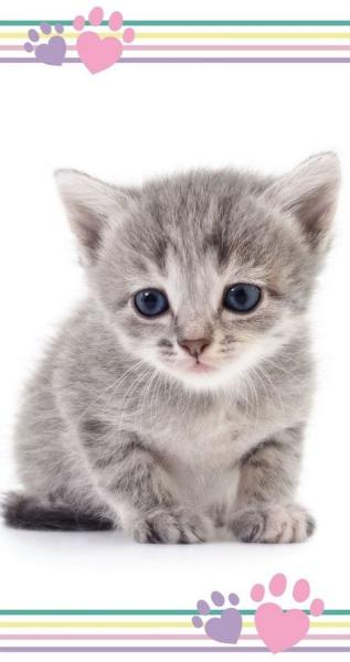 Duschtuch Badetuch Handtuch Strandtuch mit Katze 70x140 cm