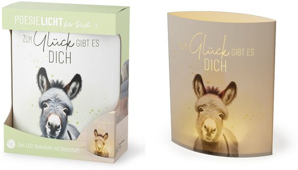 Deko Lampe Leuchte Batterie Poesielicht für Dich la vida Geschenk Esel 6298041