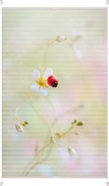 Lichtblick Kreativ Plissee ohne Bohren, verspannt, blickdicht, Tageslicht - bunt, ohne Bohren, verspannt, Klemmbar Bild 6