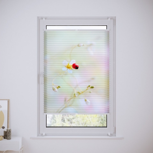 Lichtblick Kreativ Plissee ohne Bohren, verspannt, blickdicht, Tageslicht - bunt, ohne Bohren, verspannt, Klemmbar Bild 2