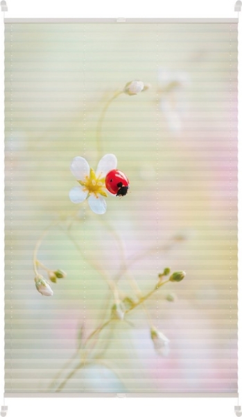 Lichtblick Kreativ Plissee ohne Bohren, verspannt, blickdicht, Tageslicht - bunt, ohne Bohren, verspannt, Klemmbar Bild 5