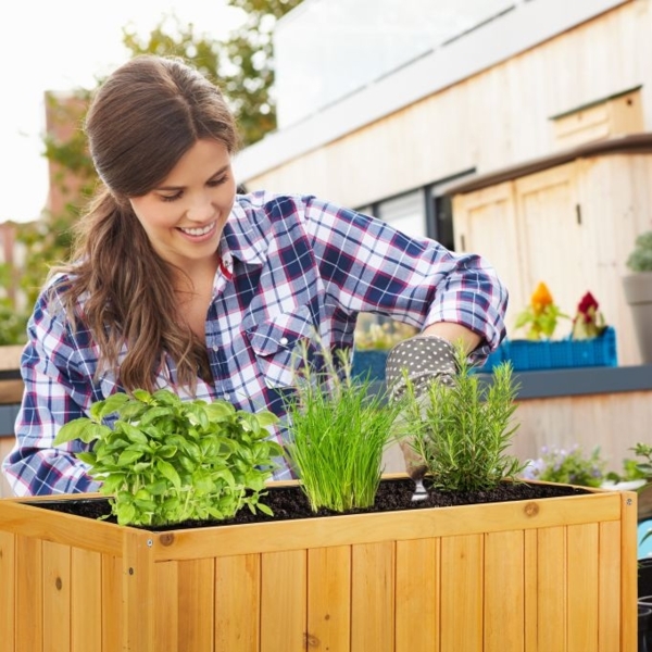 Hochbeet aus Holz Bild 3