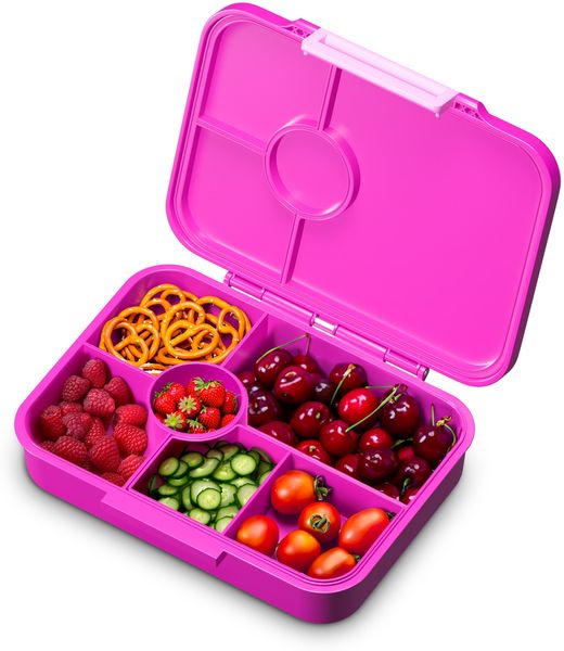 schmatzfatz by Klarstein Lite Lunchbox 6 Fächer 20,8x4,5x15 cm BPA-frei Tritan Fuchsiafarben