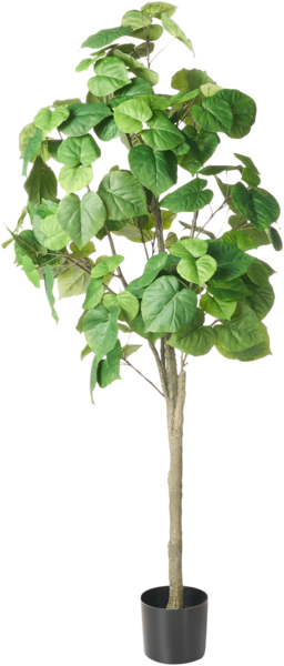 Kunstpflanze FICUS TREE 160 cm Grün