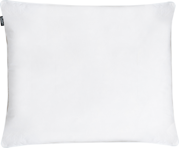 Kopfkissen Entenfedern Entendaunen niedrig 50x60 cm VIHREN