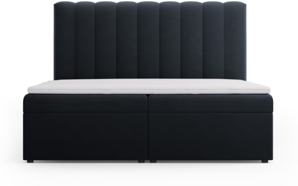 Micadoni Boxspringbett Kelp Samt Dunkelblau 180x200