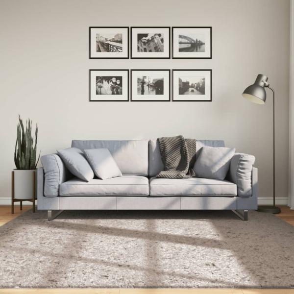 vidaXL Shaggy-Teppich PAMPLONA Hochflor Modern Beige 200x200 cm 375216