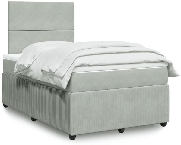 vidaXL Boxspringbett mit Matratze Hellgrau 120x200 cm Samt 3294604